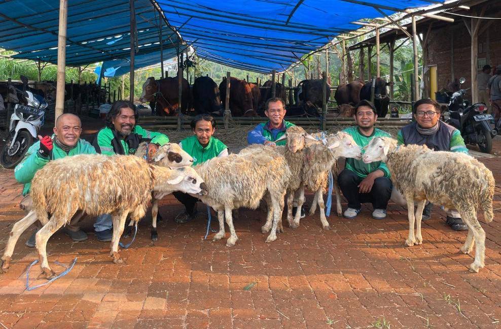 Grab Bagikan Ratusan Ekor Kambing pada Mitra Pengemudi