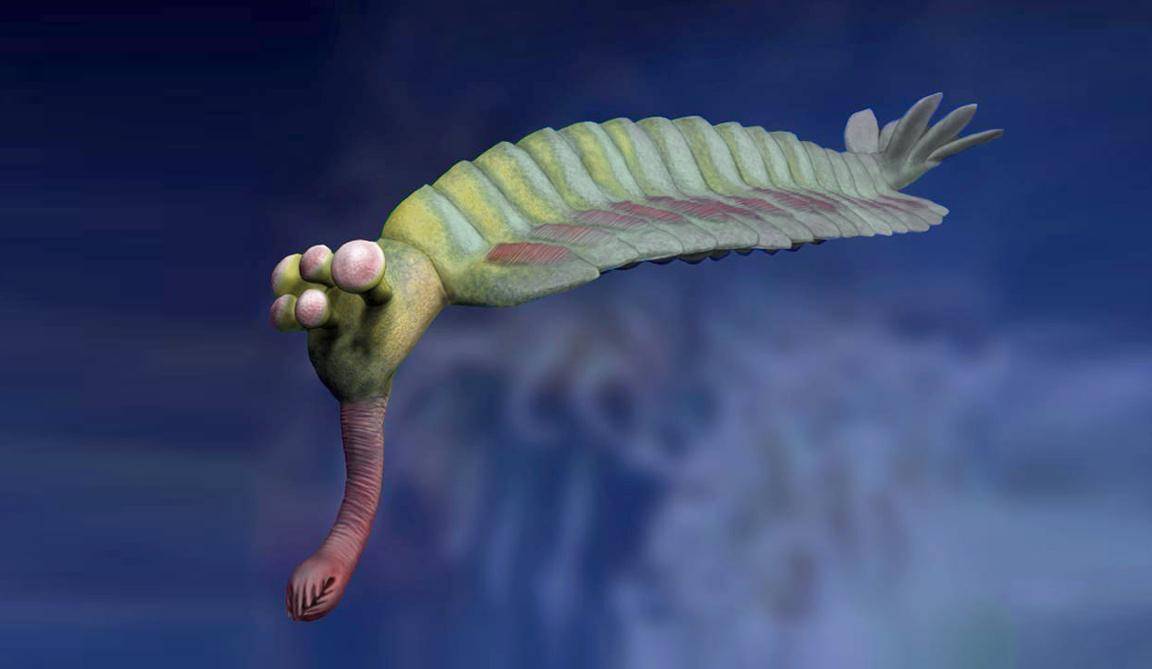 opabinia.jpg
