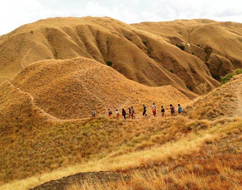 gambar pemandangan di Sabana Pulau Komodo (instagram.com/rallyreli)