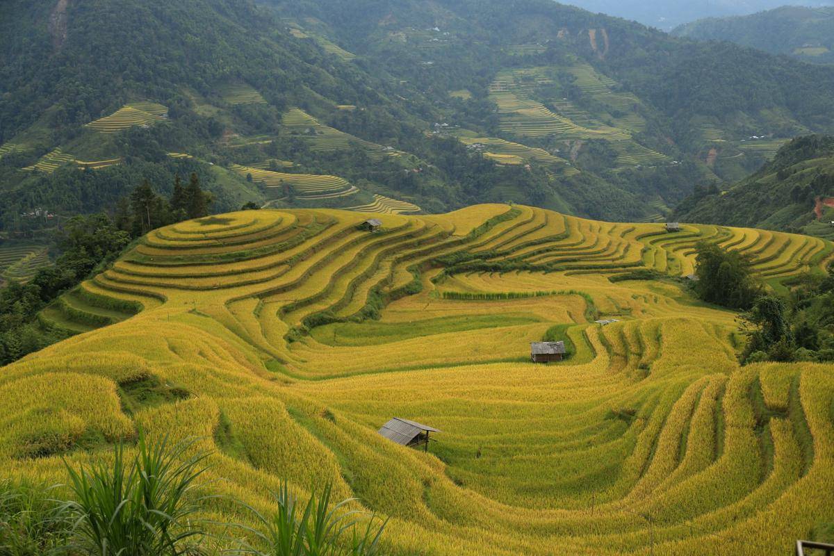 Ha Giang, Vietnam (unsplash.com/minhtriet26)