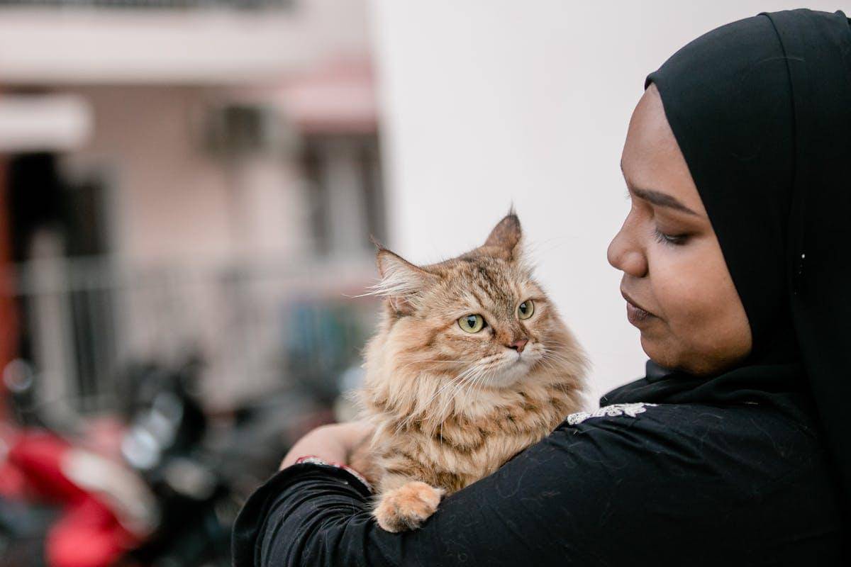 ilustrasi kucing bersama pemilknya (pexels.com/Asad Photo Maldives)