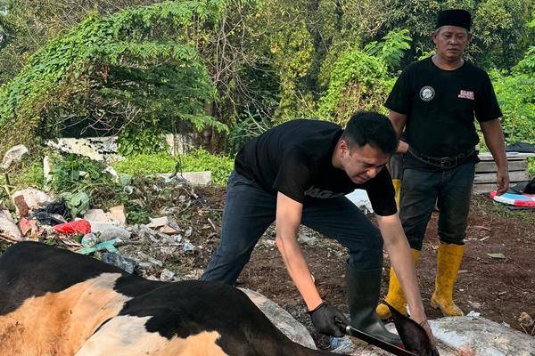 7 Potret Raffi Ahmad Sembelih Hewan Kurban Sendiri