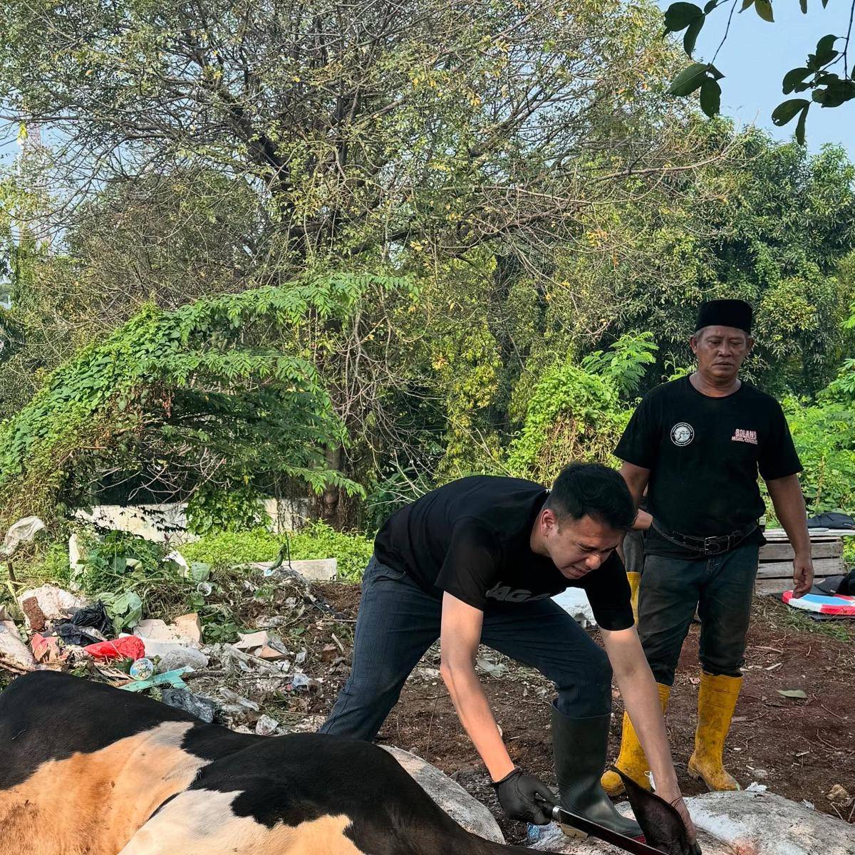 6.jpgRaffi Ahmad nyembelih hewan kurban (Instagram.com/raffianagita1717)
