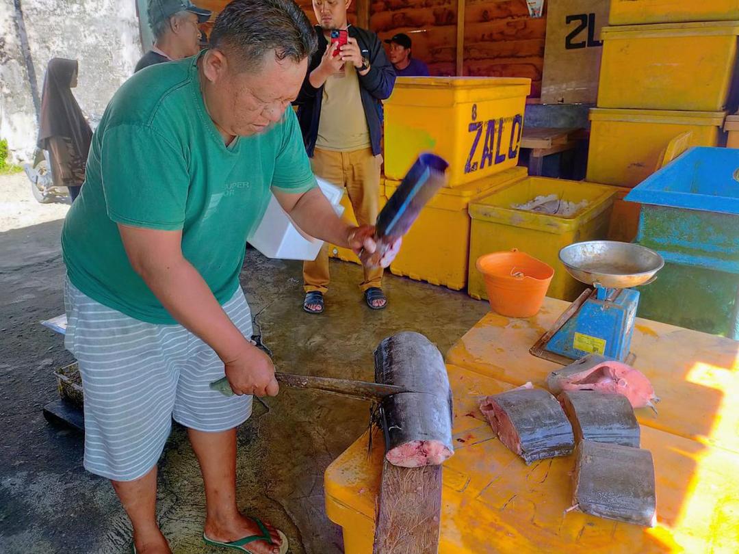 Fakta Unik Ikan Blue Marlin Primadona di Kabupaten Pesisir Barat

