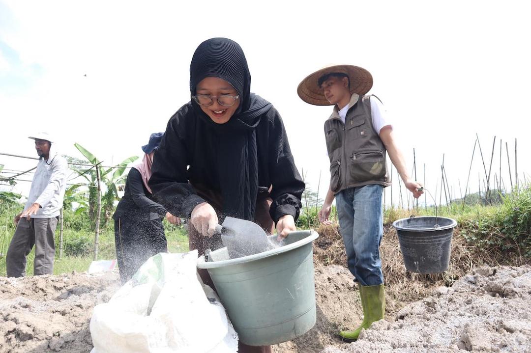 Lahirnya Petani Muda Jogja, dari Kekhawatiran Regenerasi Petani hingga Teknologi yang Menghemat Biaya