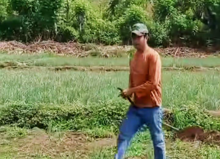 Sengketa Lahan Berujung Maut, Seorang Pria di Bima Diduga Bunuh Sepupunya