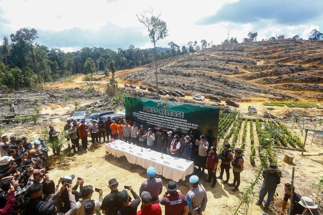 Kawasan Hutan Lindung di Riau Dijadikan Kebun Sawit, Polisi Bongkar Praktik Perambahan Ilegal