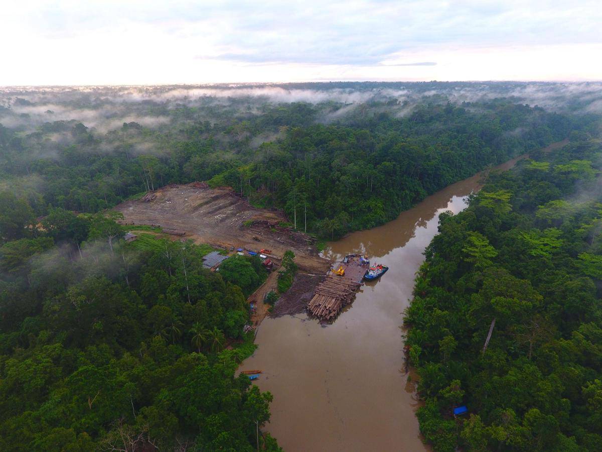 PELABUHAN KAYU DI PAPUA BARAT - FWI.jpg