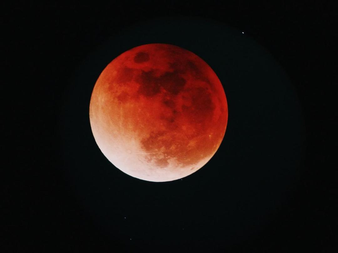 6 Rahasia Strawberry Moon Yang Jarang Diketahui Orang