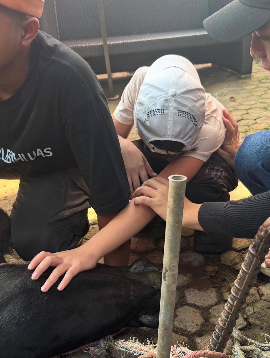 Gen Halilintar Nyembelih Hewan Kurban