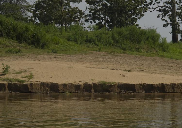 7 Fakta Menarik Tanah Aluvial, Tanah Subur Hasil dari Endapan Sungai!