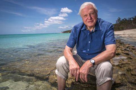 potret Sir David Attenborough di Great Barrier Reef (commons.wikimedia.org/Department of Foreign Affairs and Trade)