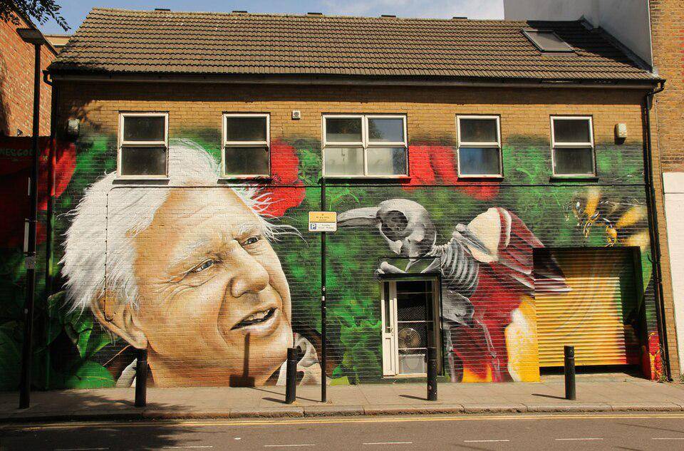 mural Sir David Attenborough di jalanan London, Inggris (commons.wikimedia.org/Richard Croft)