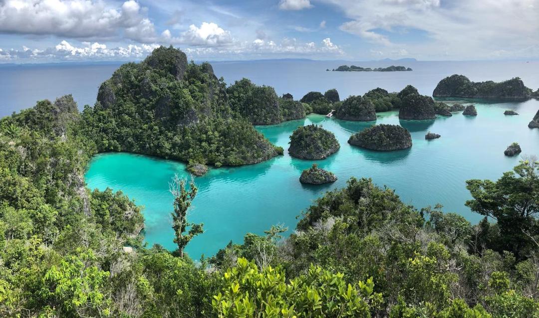 Mengapa Tambang Nikel di Raja Ampat Menimbulkan Kontroversi?