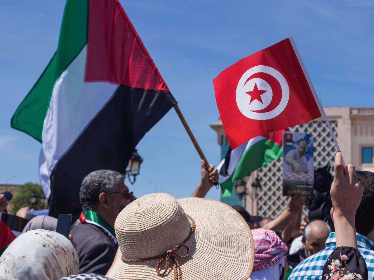 aksi bela Palestina di Tunisia pada 2021. (Bra, CC BY-SA 4.0 <https://creativecommons.org/licenses/by-sa/4.0>, via Wikimedia Commons)