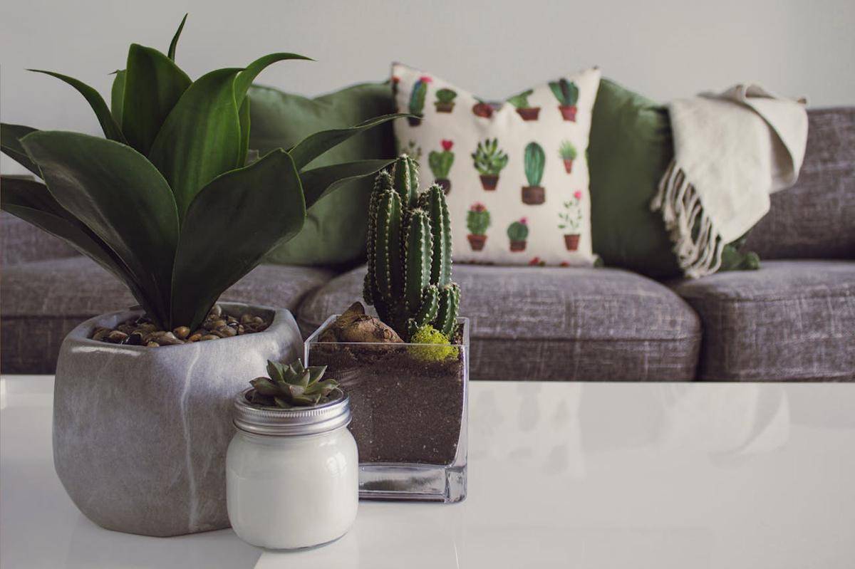 ilustrasi interior (pexels.com/Designecologist)
