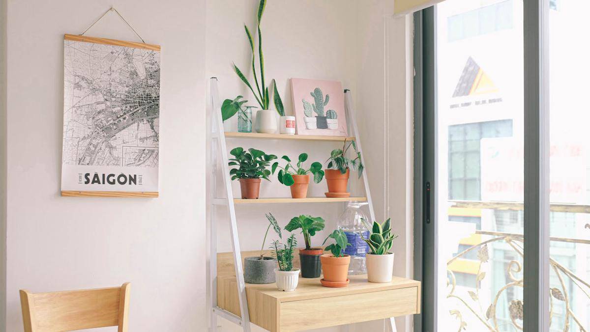 ilustrasi interior (pexels.com/Huy Phan)