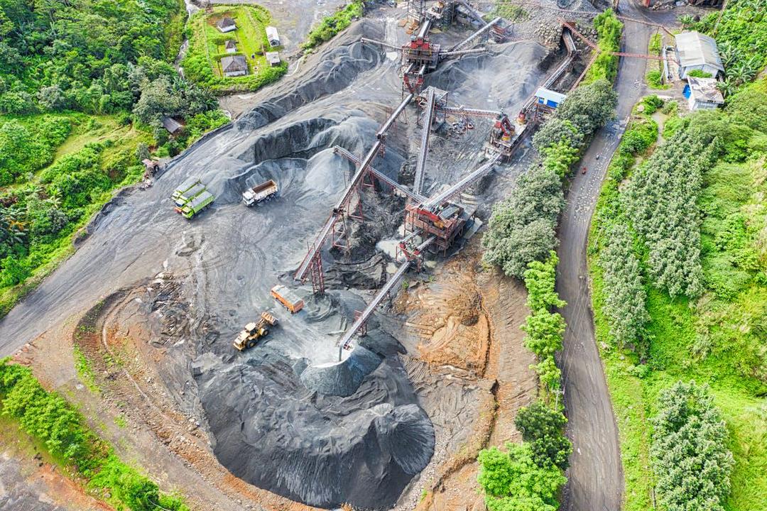 Tambang Bisa Menjadi Biang Keladi Kepunahan Spesies? Ini Alasannya