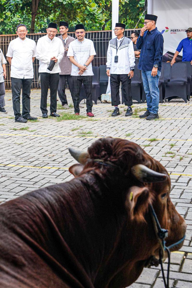 Pertamina Patra Niaga membagikan 833 daging hewan kurban di seluruh Indonesia (Dokumentasi Pertamina Patra Niaga)