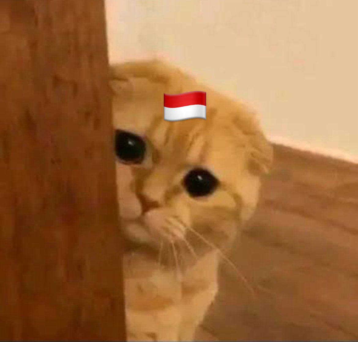 Meme usai Indonesia kalah dari Jepang (x.com/@unmagnetism)