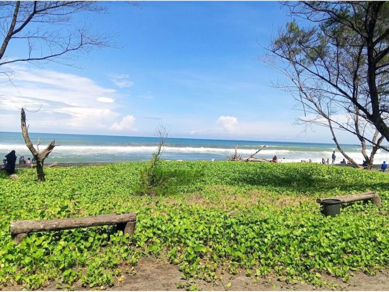 Info Wisata Pantai Goa Cemara Bantul: Lokasi, Fasilitas, HTM, dan Aktivitas Seru