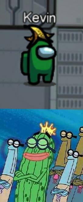 meme Kevin si Ketimun Laut (reddit.com/user/casey12297)