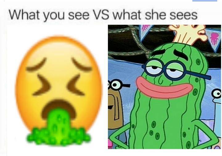 meme Kevin si Ketimun Laut (reddit.com/user/john44261)