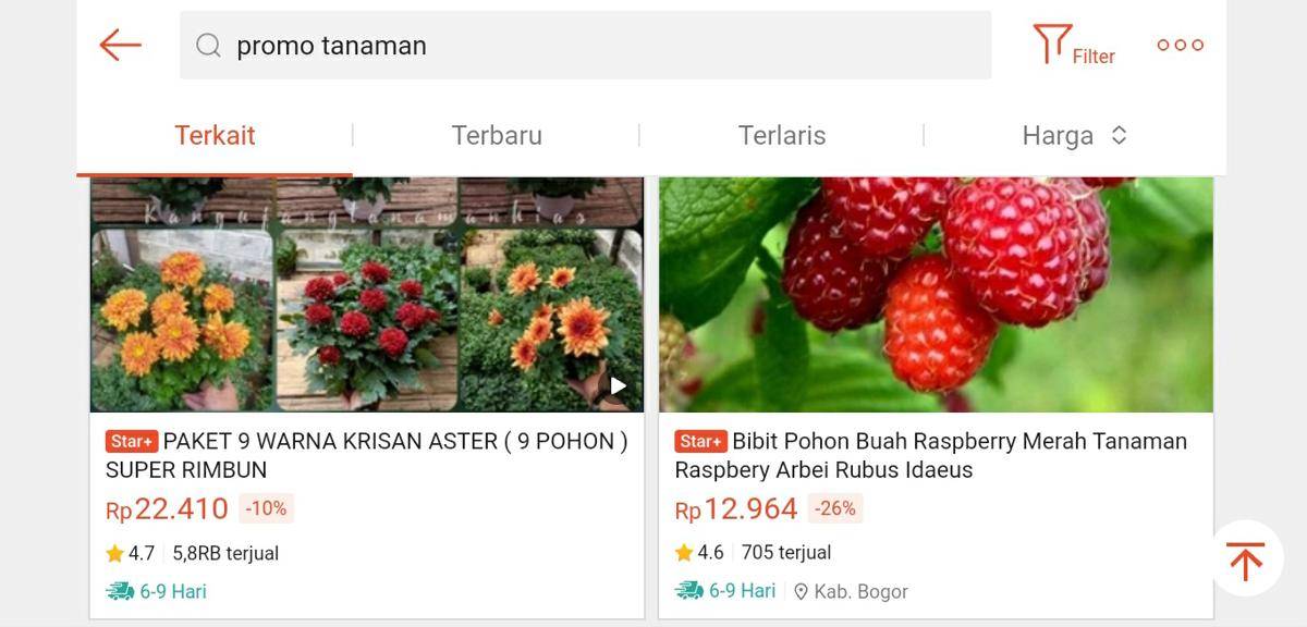 Ilutrasi promo tanaman (Shopee/Sea Group)