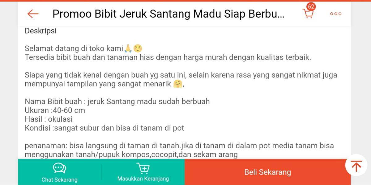 Ilustrasi deskripsi produk tanaman (Shopee/BIBIT NUSANTARA)