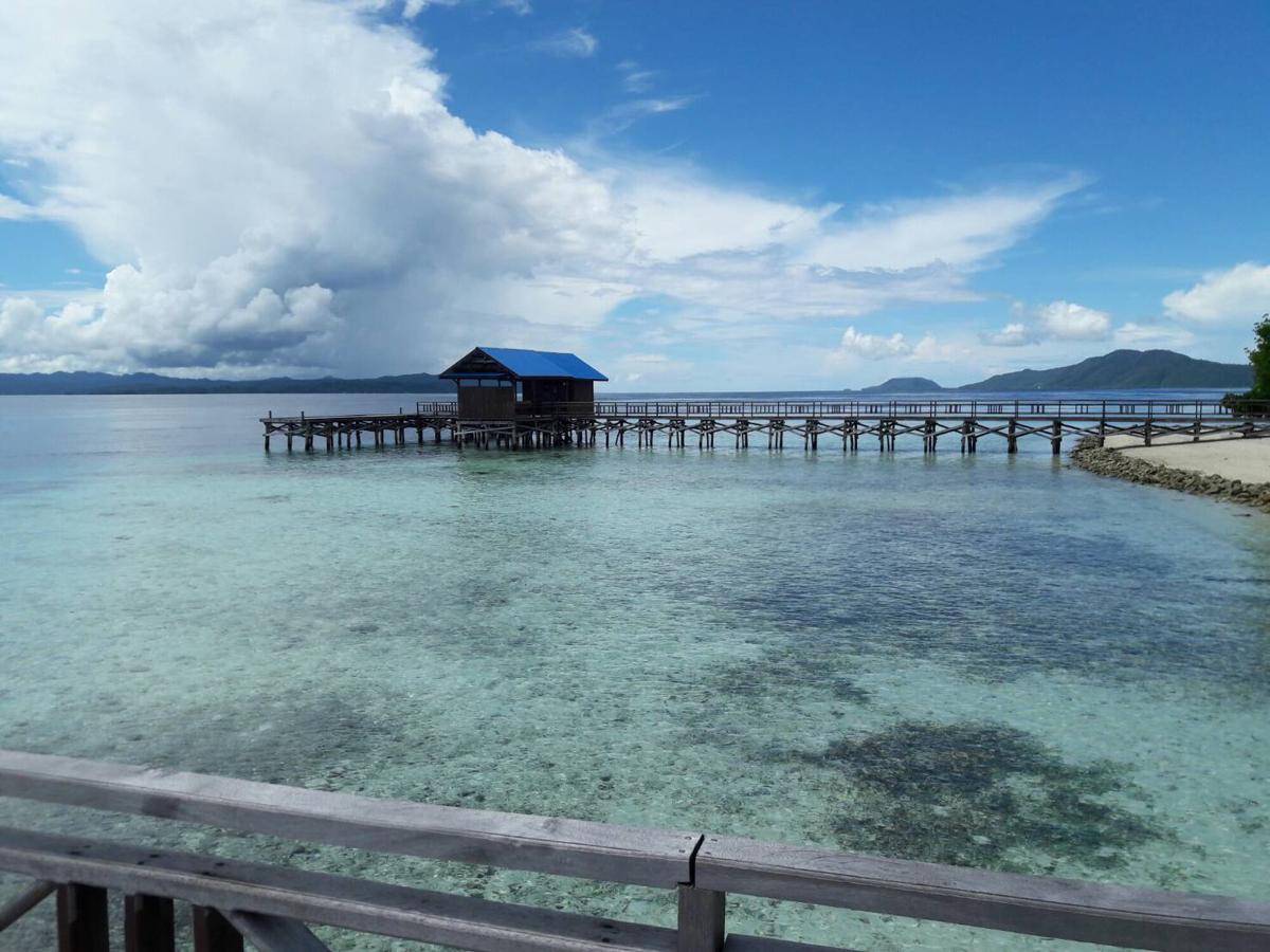 potret Pulau Arborek (commons.m.wikimedia.org/Anazlombu)