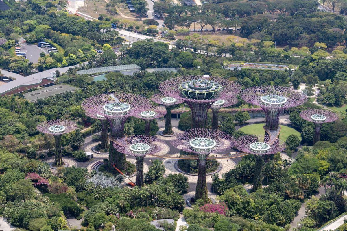 Gardens by the Bay (unsplash.com/Nick Fewings)