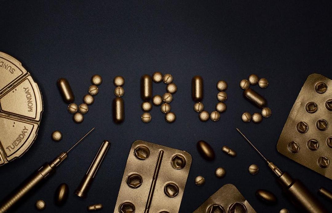 Studi: Virus HKU5 Berpotensi Sebabkan Pandemi