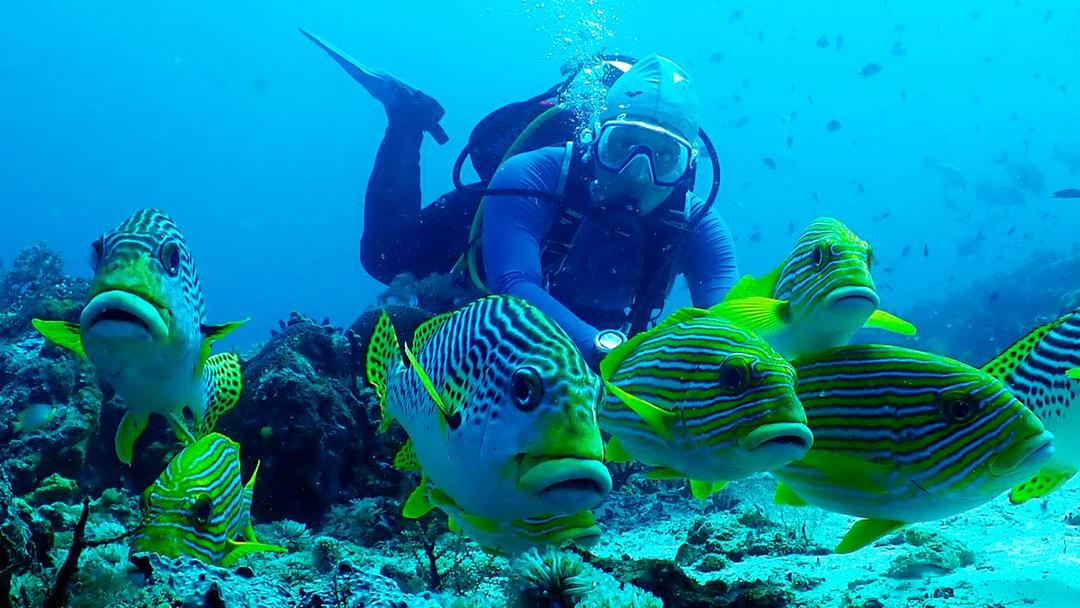 Raja Ampat Terselamatkan: Pemerintah Cabut Izin Tambang, Konservasi Harus jadi Prioritas