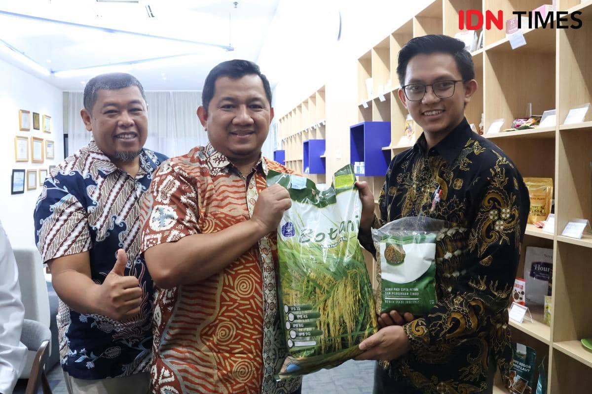 Bupati PPU, Mudyat Noor bersama Wakil Rektor IPB University, Iskandar Z Siregartunjukan Padi Garuda IPB yang akan dikembangkan di PPU (IDN Times/Ervan)