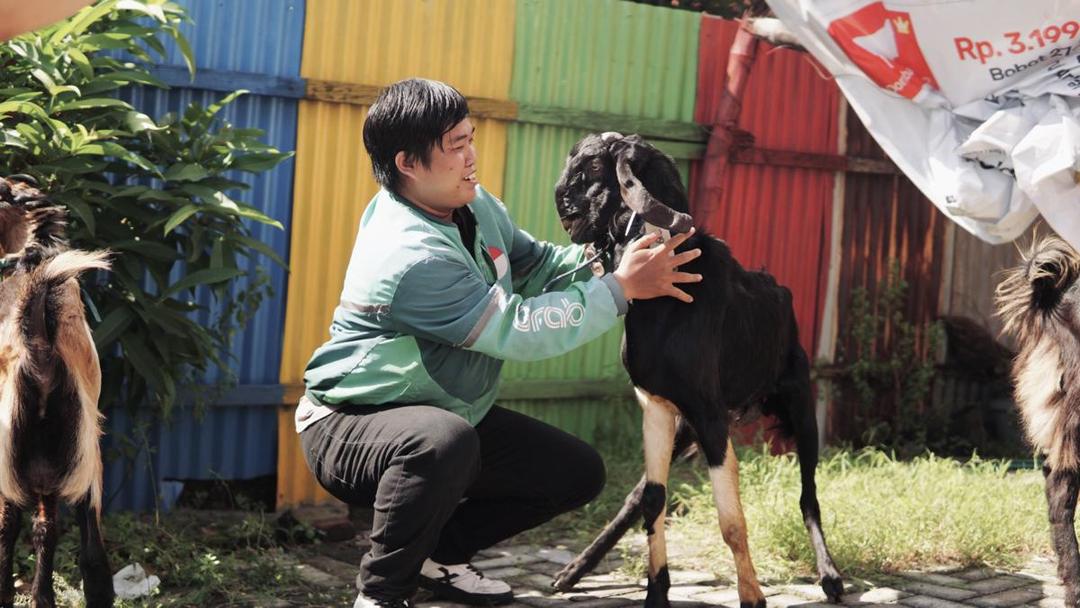 Iduladha 2025, Grab Bagikan Ratusan Ekor Kambing