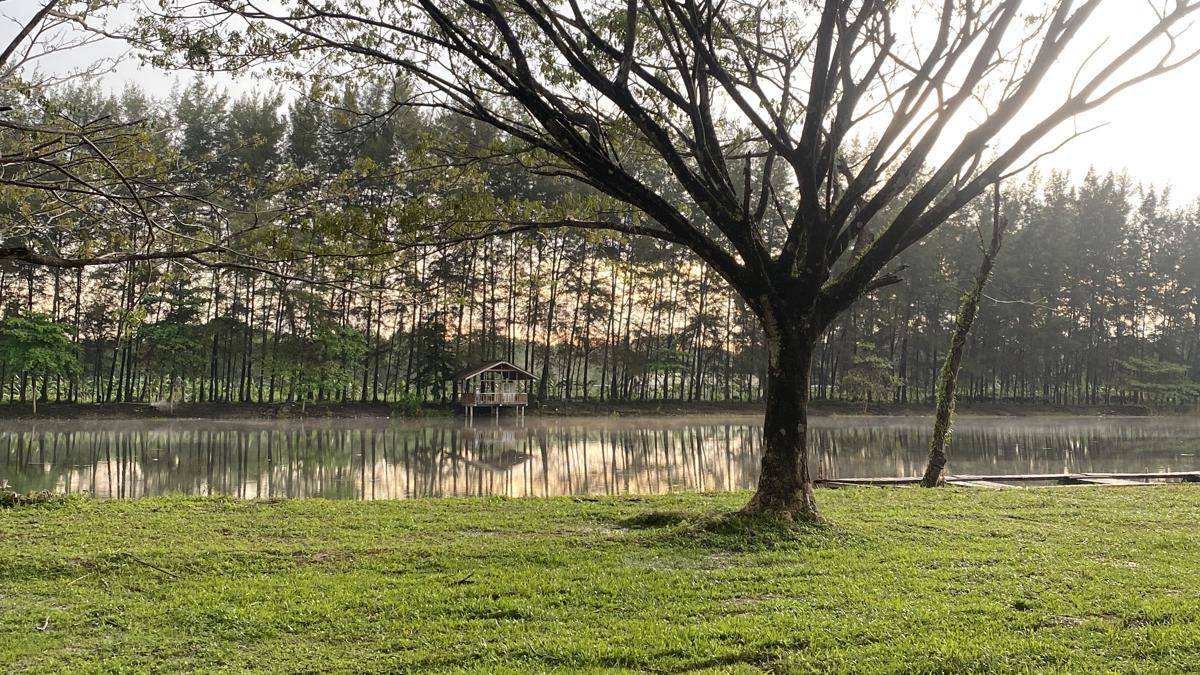 Bangka Botanica Garden (BBG) Kota Pangkalpinang (dok pribadi/Cici Nasya Nita)