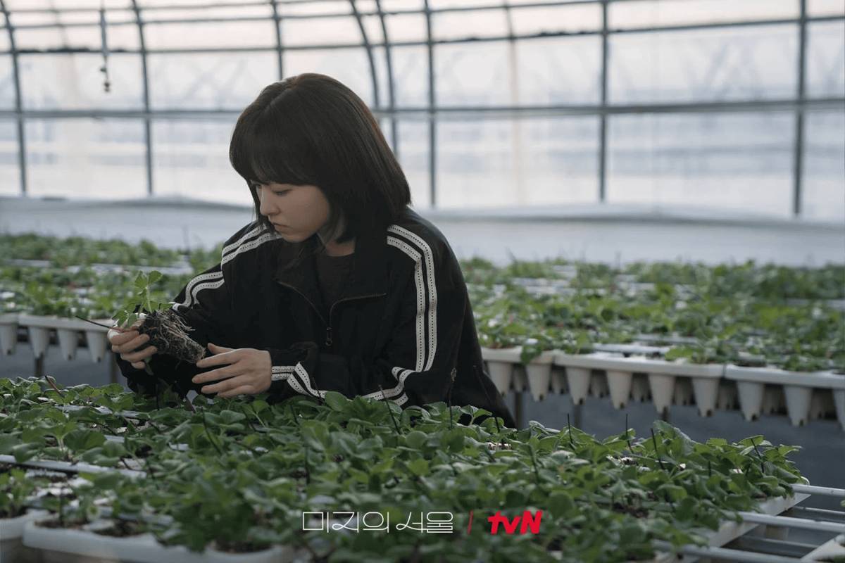 Yoo Mi Rae (Park Bo Young) dalam drama Our Unwritten Seoul (dok. tvN/Our Unwritten Seoul)