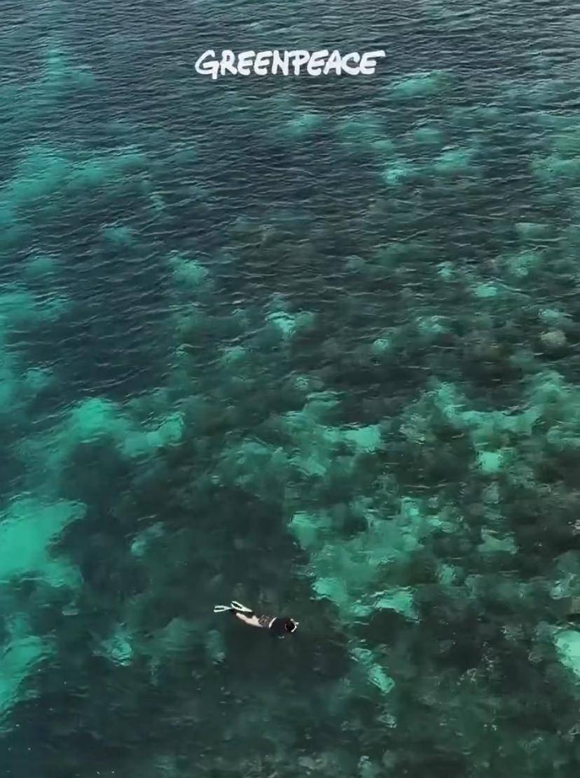 potret Angela Gilsha telusuri Raja Ampat (Instagram.com/greenpeaceid)