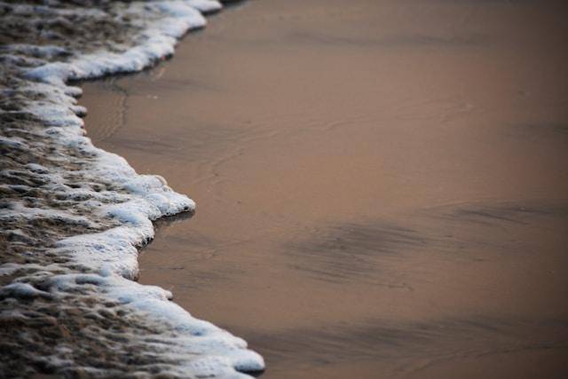 Air laut berwarna cokelat (unsplash.com/Akhila Katuri)