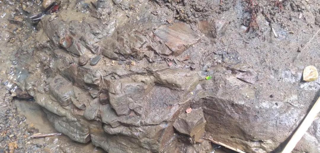 sedimentasi batuan Formasi Nanggulan.jpg