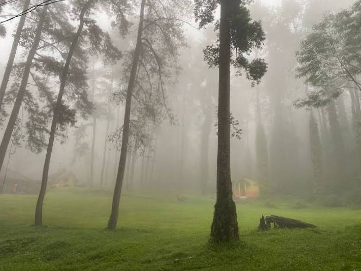Kebun Raya Baturraden (Google maps/Arif Wijianto)