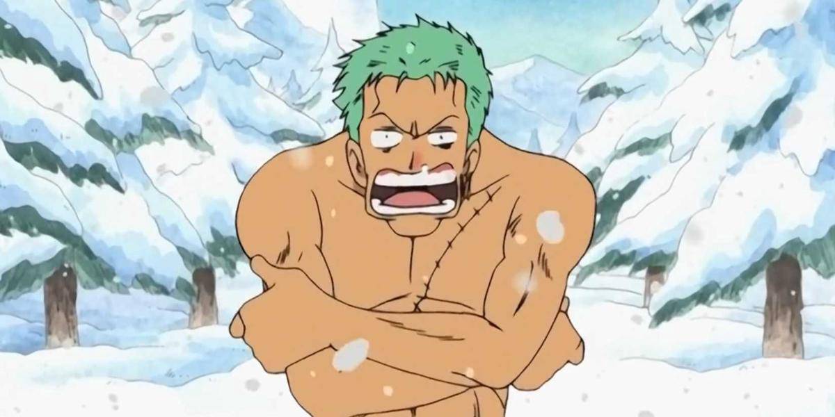 Roronoa Zoro Drum Island (Dok. Toei Animation/One Piece)