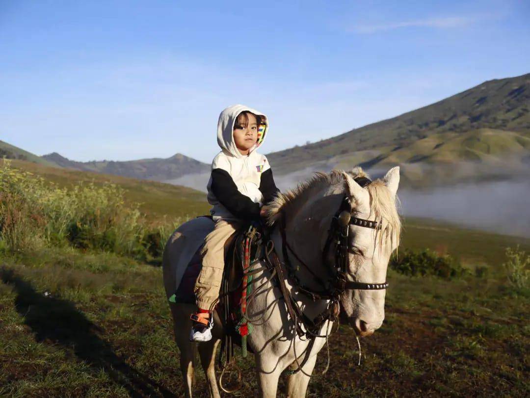 Panorama Gunung Bromo dan Semeru. (IDN Times/Ahnaf Lentera Jagad)