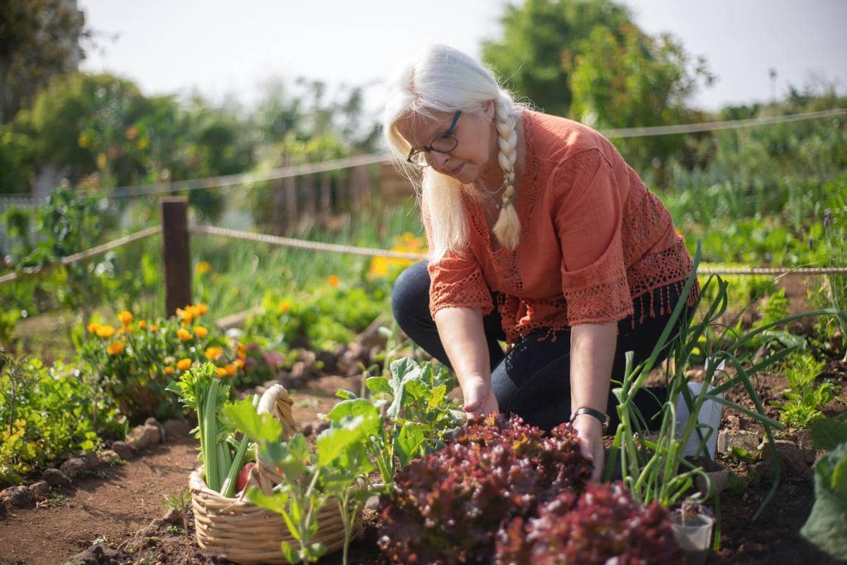 ilustrasi urban farming (pexels.com/Kampus Production)