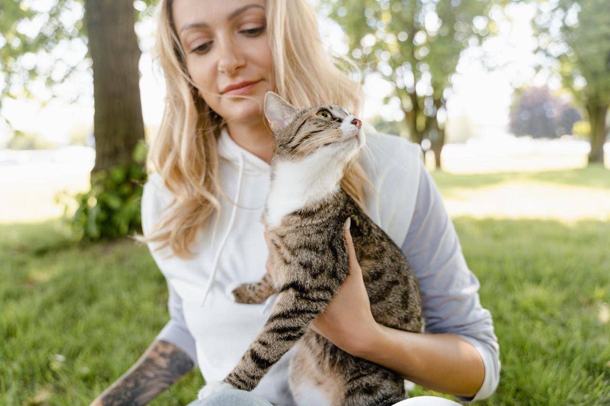 ilustrasi kucing bersama pemiliknya (pexels.com/MART PRODUCTION)