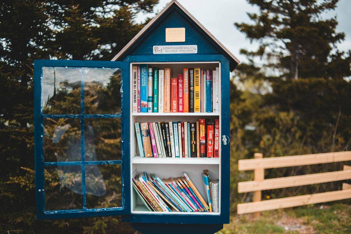 ilustrasi rak buku (pexels.com/Erik Mclean)
