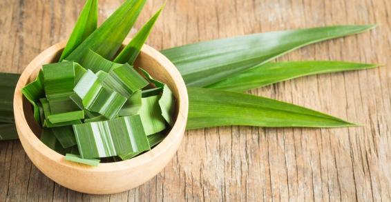 Gak Cuman Wangi, Ini 5 Manfaat Daun Pandan untuk Kebutuhan Sehari-hari