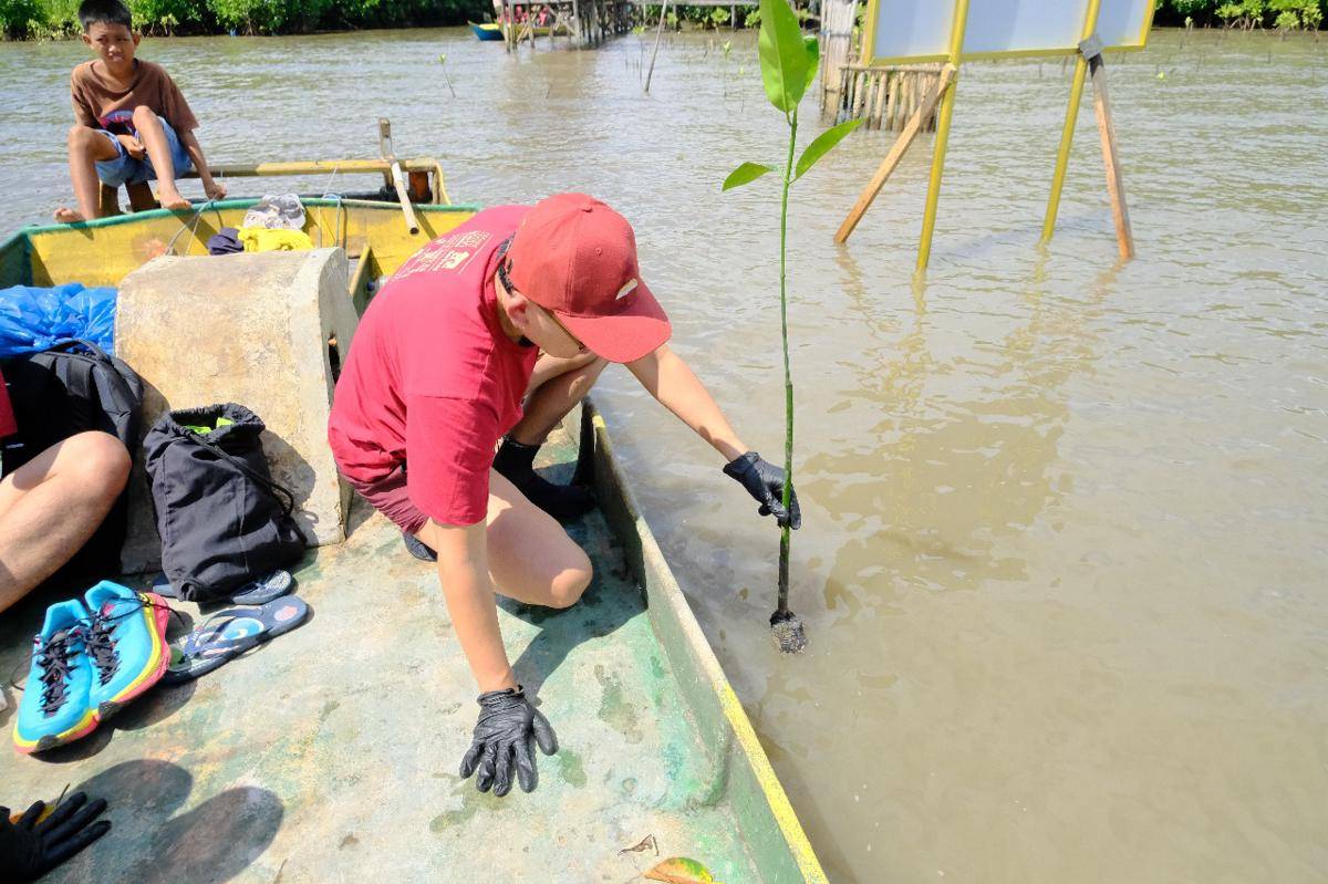 Interflour tanam mangrove di kawasan pesisir Lantebung, Makassar, Minggu (15/6/2025). IDN Times/Darsil Yahya