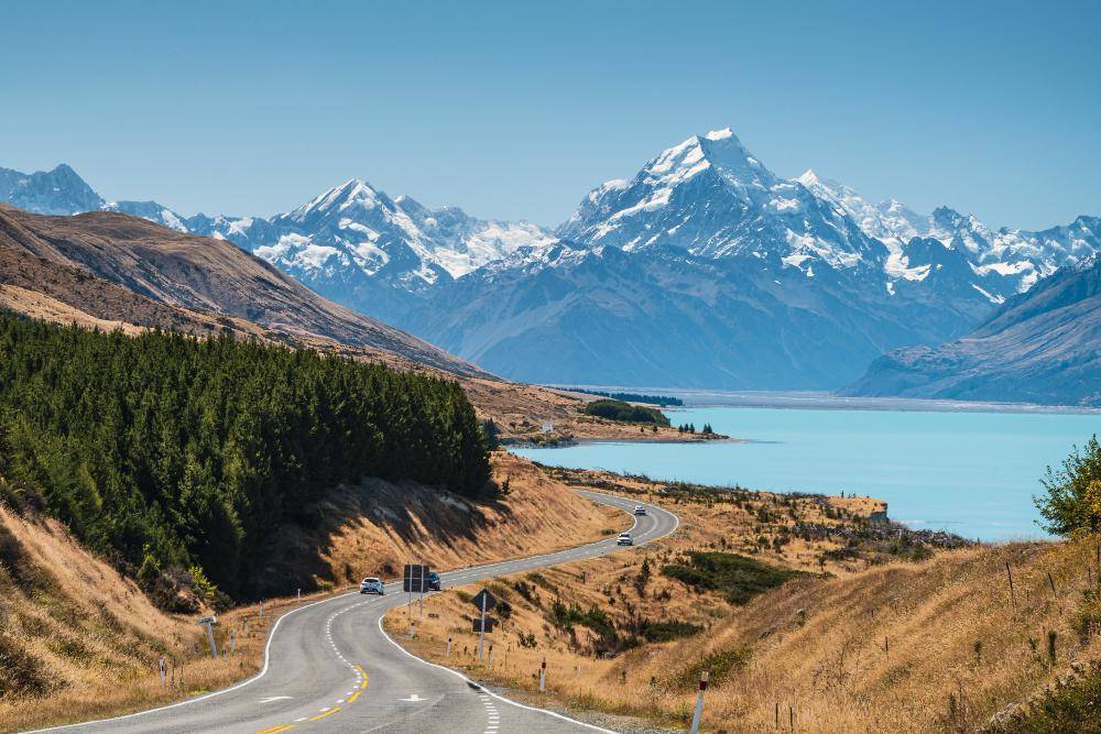 ilustrasi New Zealand (freepik.com/wirestock)