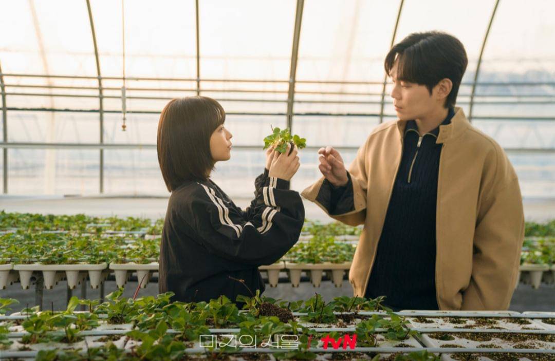cuplikan drama Our Unwritten Seoul (dok.tvn/Our Unwritten Seoul) 